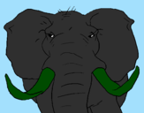 Desenho Elefante africano pintado por GIOVANNI
