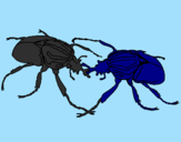 Desenho Escaravelhos pintado por NADIM45