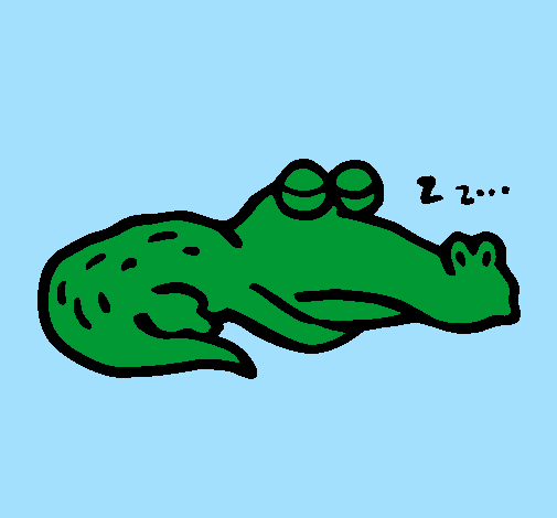 Crocodilo a dormir
