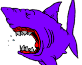 Desenho Tubarão pintado por thiago
