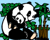 Desenho Mamã panda pintado por Beatriz