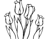Desenho Tulipa pintado por v 