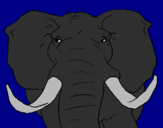 Desenho Elefante africano pintado por Maiara
