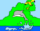 Desenho Golfinho e gaviota pintado por Rayslla