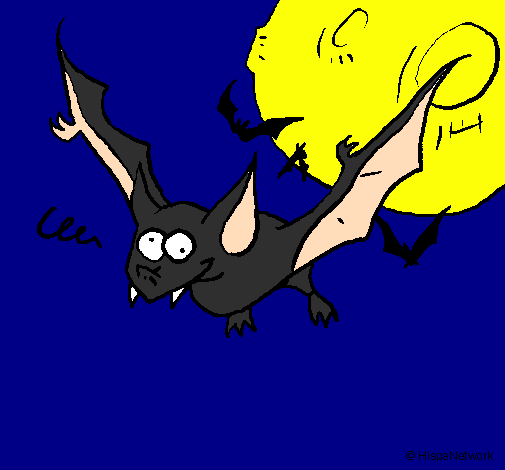 Morcego louco