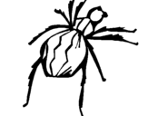 Desenho Aranha viúva negra pintado por smf 