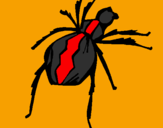 Desenho Aranha viúva negra pintado por nicolas