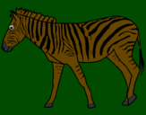 Desenho Zebra pintado por gabriel gomes