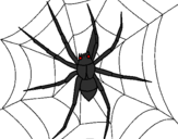 Desenho Aranha pintado por viuva negra