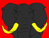 Desenho Elefante africano pintado por pedro e papai flamengo
