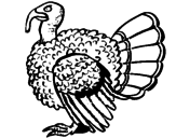 Desenho Pavão pintado por galinha de angola