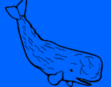 Desenho Baleia grande pintado por vinicius