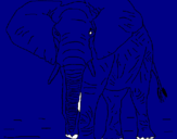 Desenho Elefante pintado por Nadim_bittar