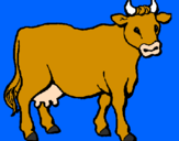 Desenho Vaca pintado por Starsky 