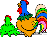 Desenho Galo e galinha pintado por galito