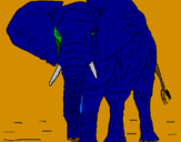 Desenho Elefante pintado por NADIM45
