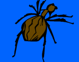 Desenho Aranha viúva negra pintado por joão  vitor