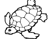 Desenho Tartaruga pintado por joana