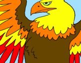 Desenho Águia Imperial Romana pintado por -Patrícia-