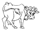 Desenho Vaca pintado por vaca branca