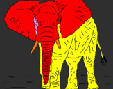 Desenho Elefante pintado por Amanda