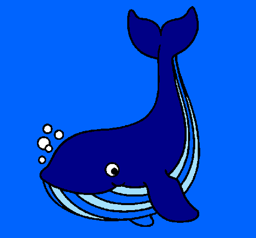 Pequena baleia
