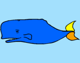 Desenho Baleia azul pintado por daniel