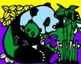 Desenho Mamã panda pintado por hemr rue
