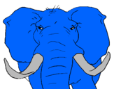 Desenho Elefante africano pintado por MATEUS