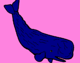 Desenho Baleia grande pintado por rebeca