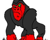 Desenho Gorila pintado por miguel