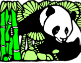 Desenho Urso panda e bambu pintado por maria eduarda