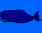 Desenho Baleia azul pintado por Mateus Teteu