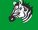 Desenho Zebra II pintado por pamela coronel