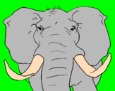 Desenho Elefante africano pintado por Mariele