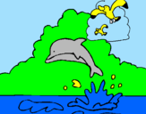 Desenho Golfinho e gaviota pintado por emerson