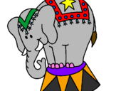 Desenho Elefante a actuar pintado por DAVI.,0