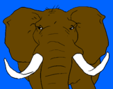 Desenho Elefante africano pintado por gagu