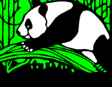 Desenho Urso panda a comer pintado por luccas bikelis