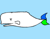 Desenho Baleia azul pintado por daniel