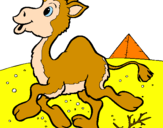 Desenho Camelo pintado por Cyntia