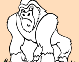 Desenho Gorila pintado por Chipanzé