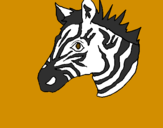 Desenho Zebra II pintado por Amanda Rieger