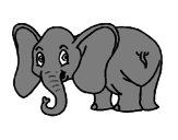 Desenho Elefante pequeno pintado por pedro antonio