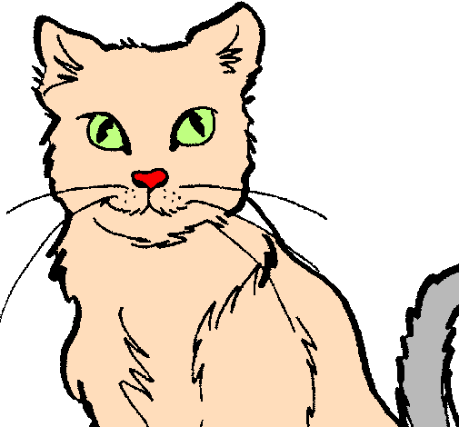 Desenho de Gato pintado e colorido por Usuário não registrado o dia 07 de  Novembro do 2009