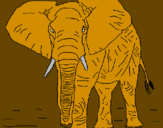 Desenho Elefante pintado por joaquim