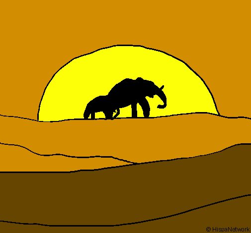 Elefante ao amanhecer