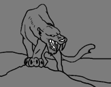 Desenho Tigre com dentes afiados pintado por pirikito