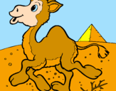 Desenho Camelo pintado por mariame