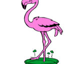 Desenho Flamingo com os pés de molho pintado por flamingo